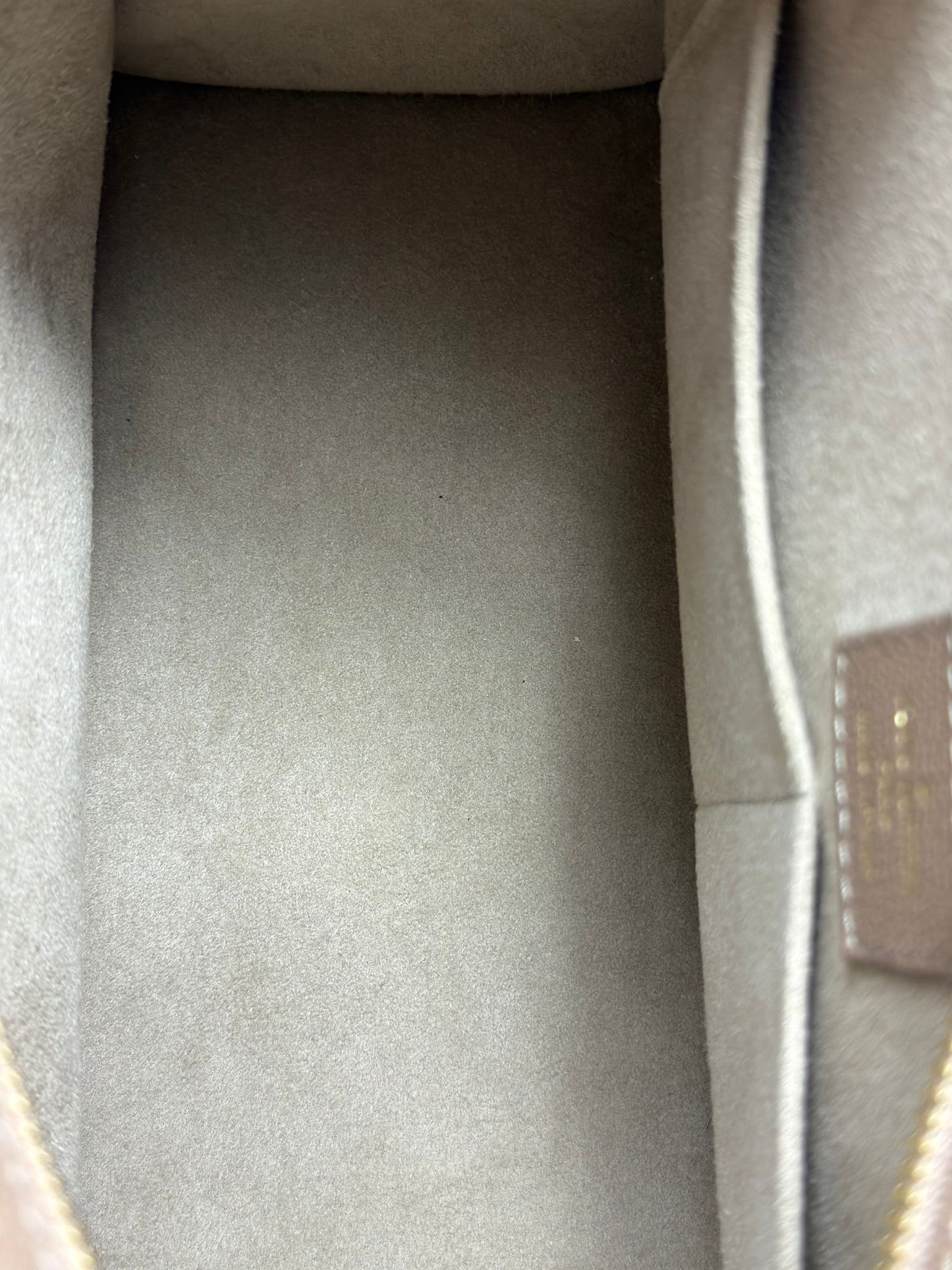 Louis Vuitton Very Zip Tote - Python