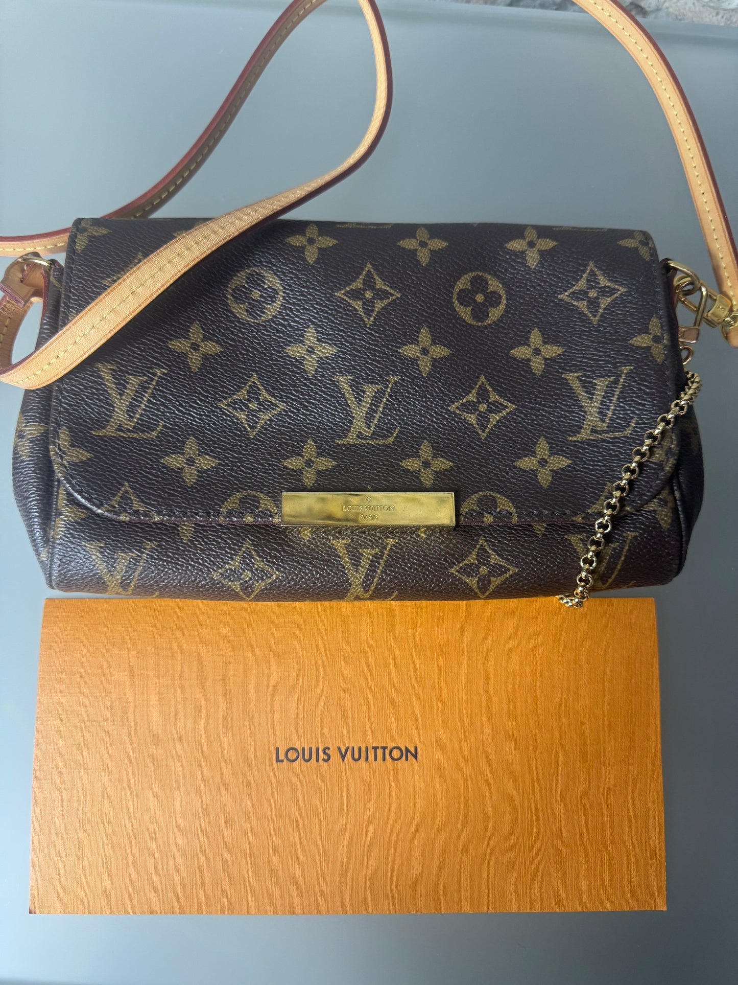 Louis Vuitton Pochette Favorite PM – Monogram Canvas