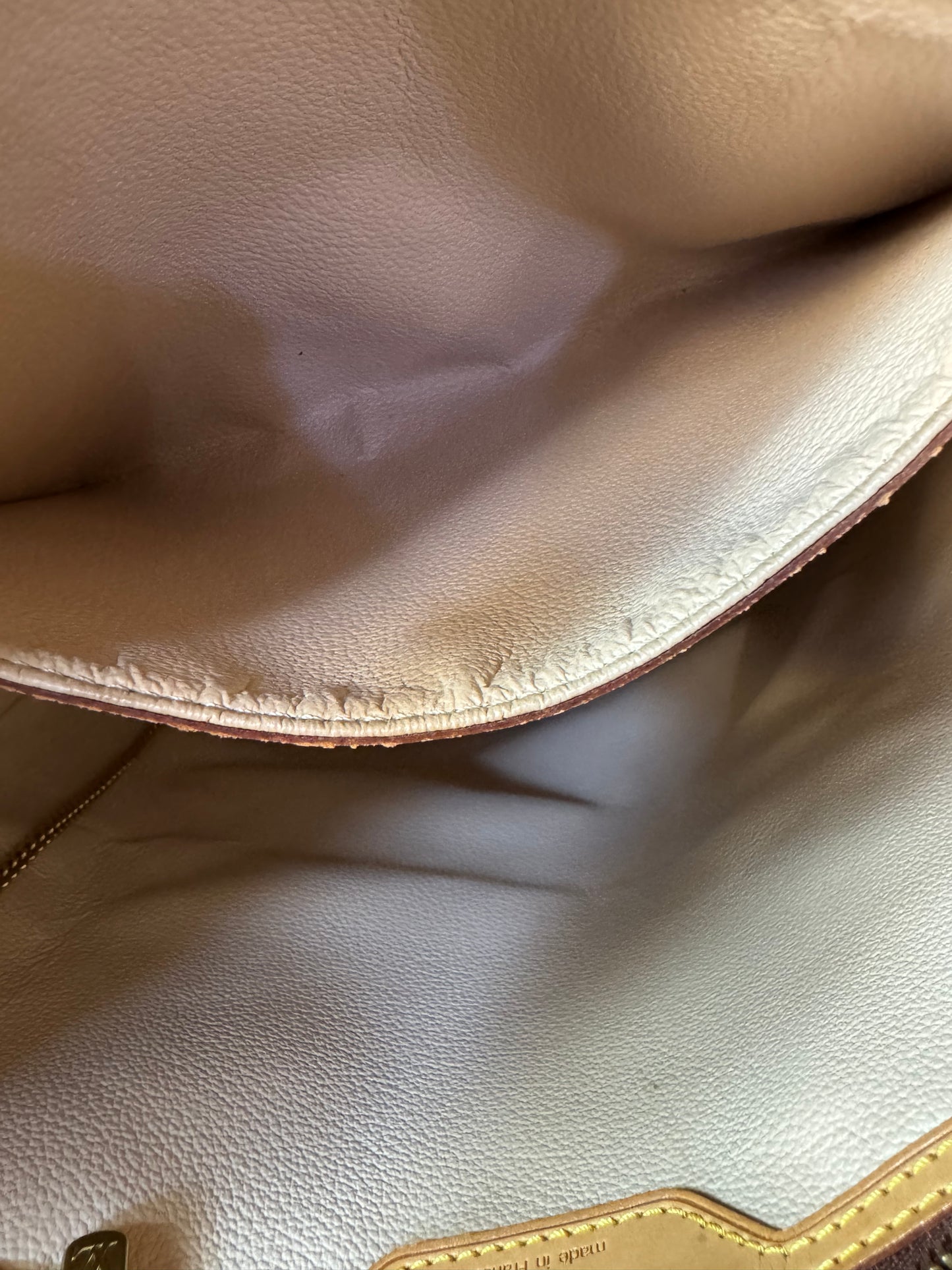 Louis Vuitton Bucket GM - Monogram Canva