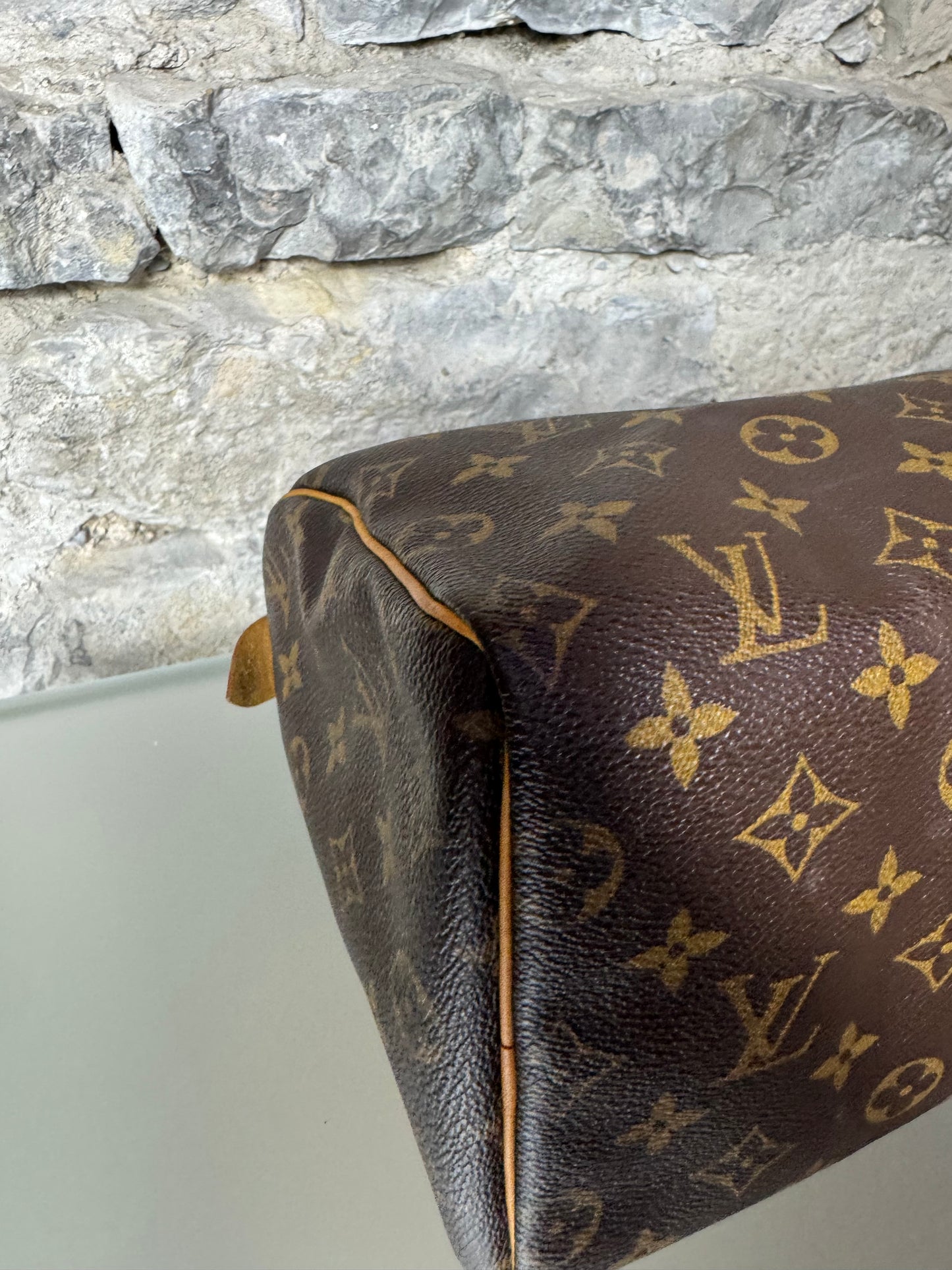 Louis Vuitton Speedy 25 Monogram