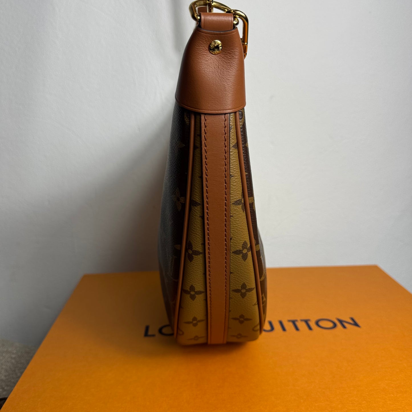 Louis Vuitton Loop Hobo Monogram
