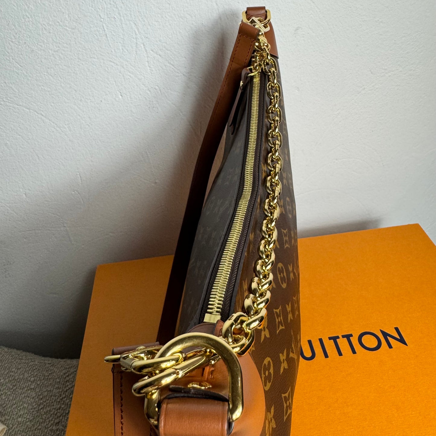 Louis Vuitton Loop Hobo Monogram