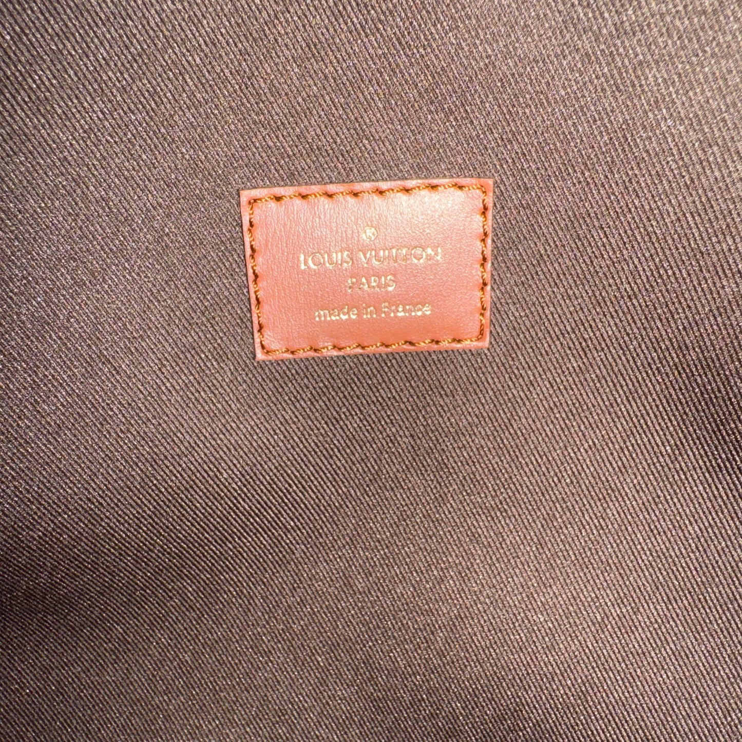 Louis Vuitton Loop Hobo Monogram
