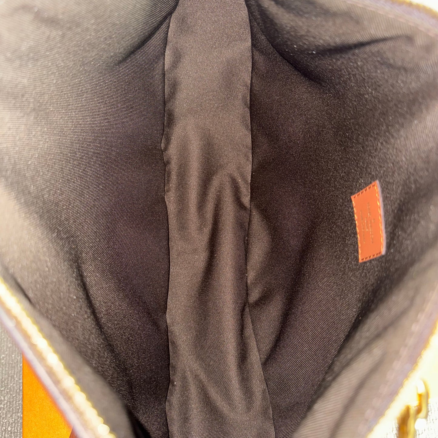 Louis Vuitton Loop Hobo Monogram