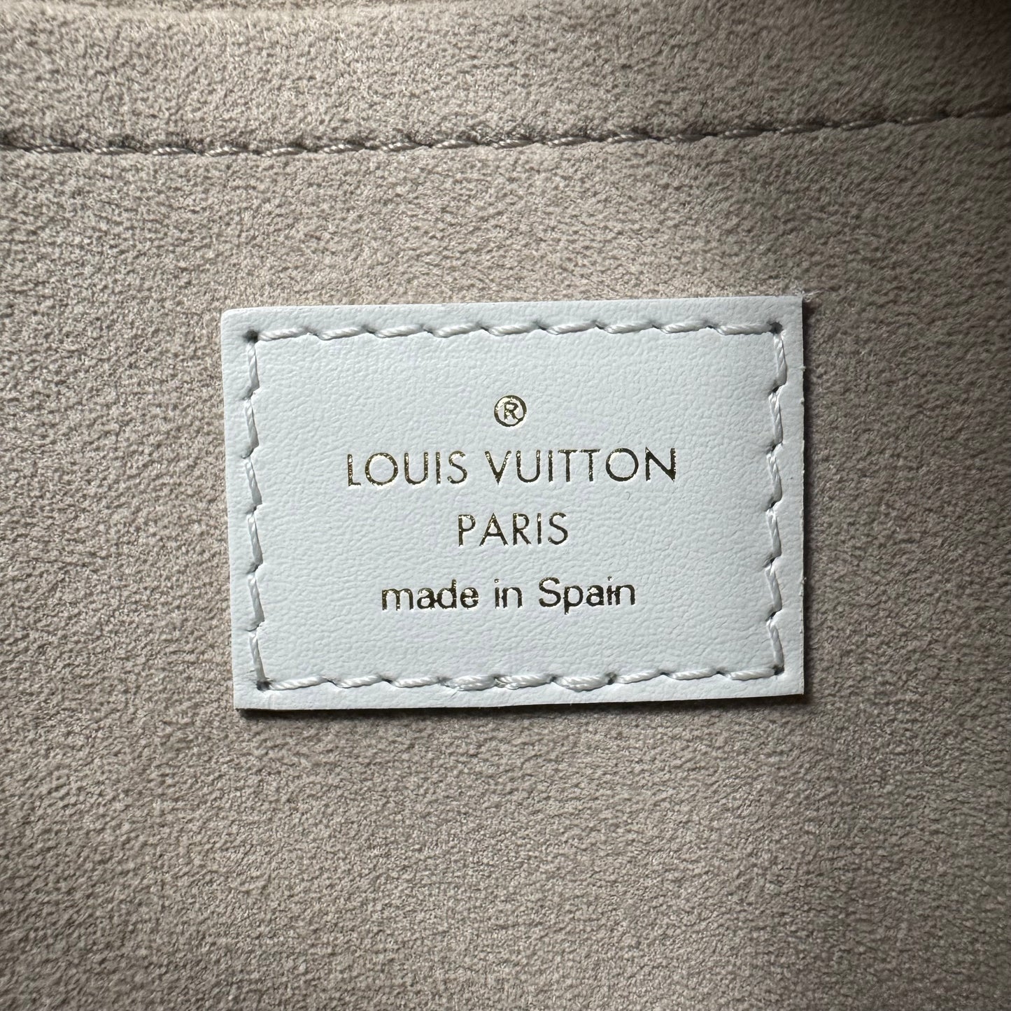 Louis Vuitton Neverfull MM Jacquard Velvet Monogram
