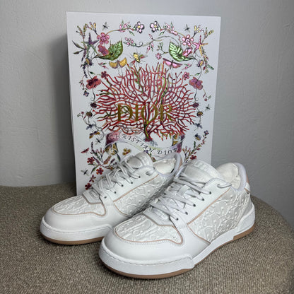 Christian Dior B27 Low-Top Sneaker - Gr. 40,5
