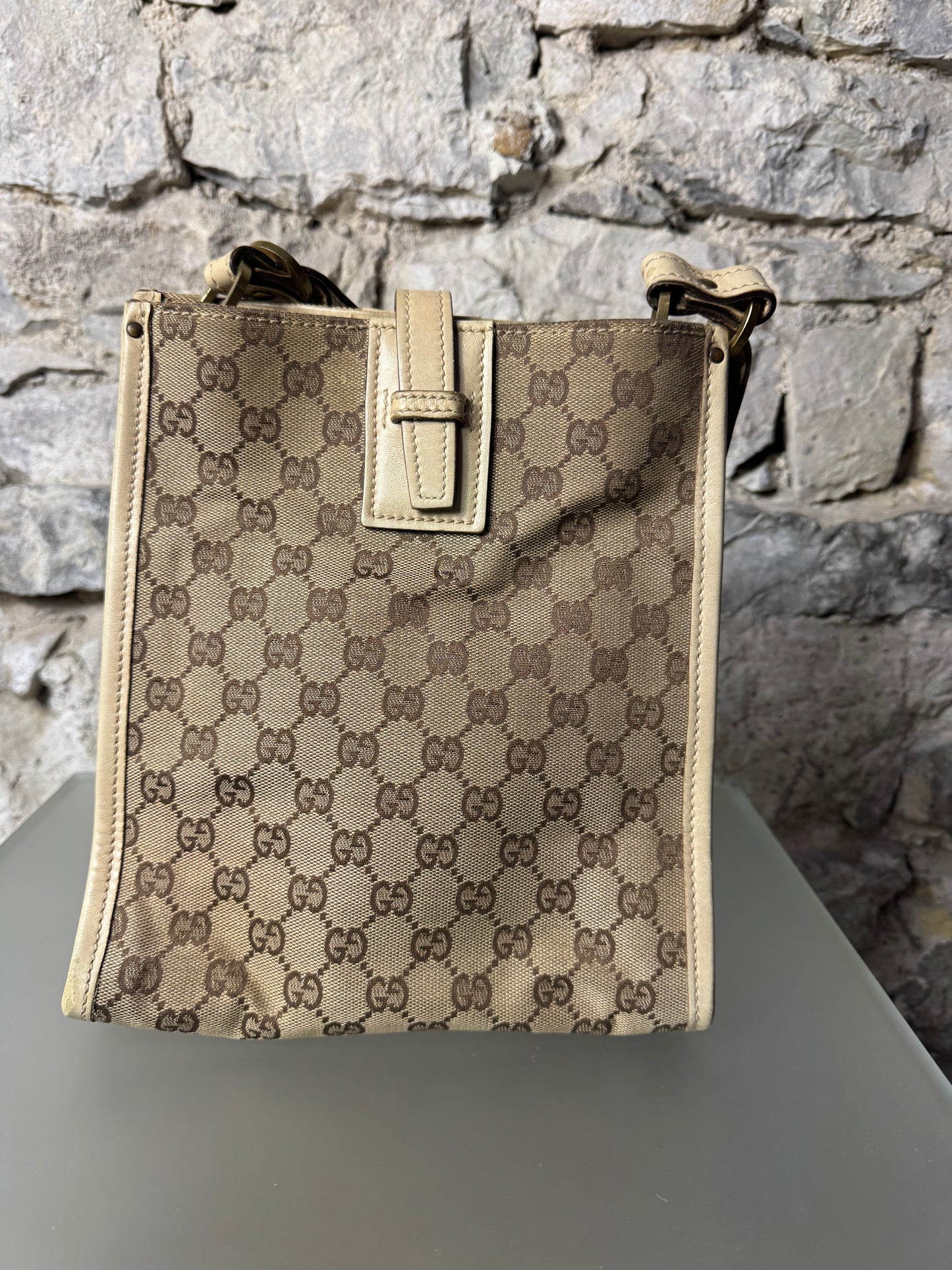 Gucci GG Canvas Beige 110292