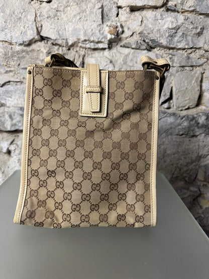 Gucci GG Canvas Beige 110292