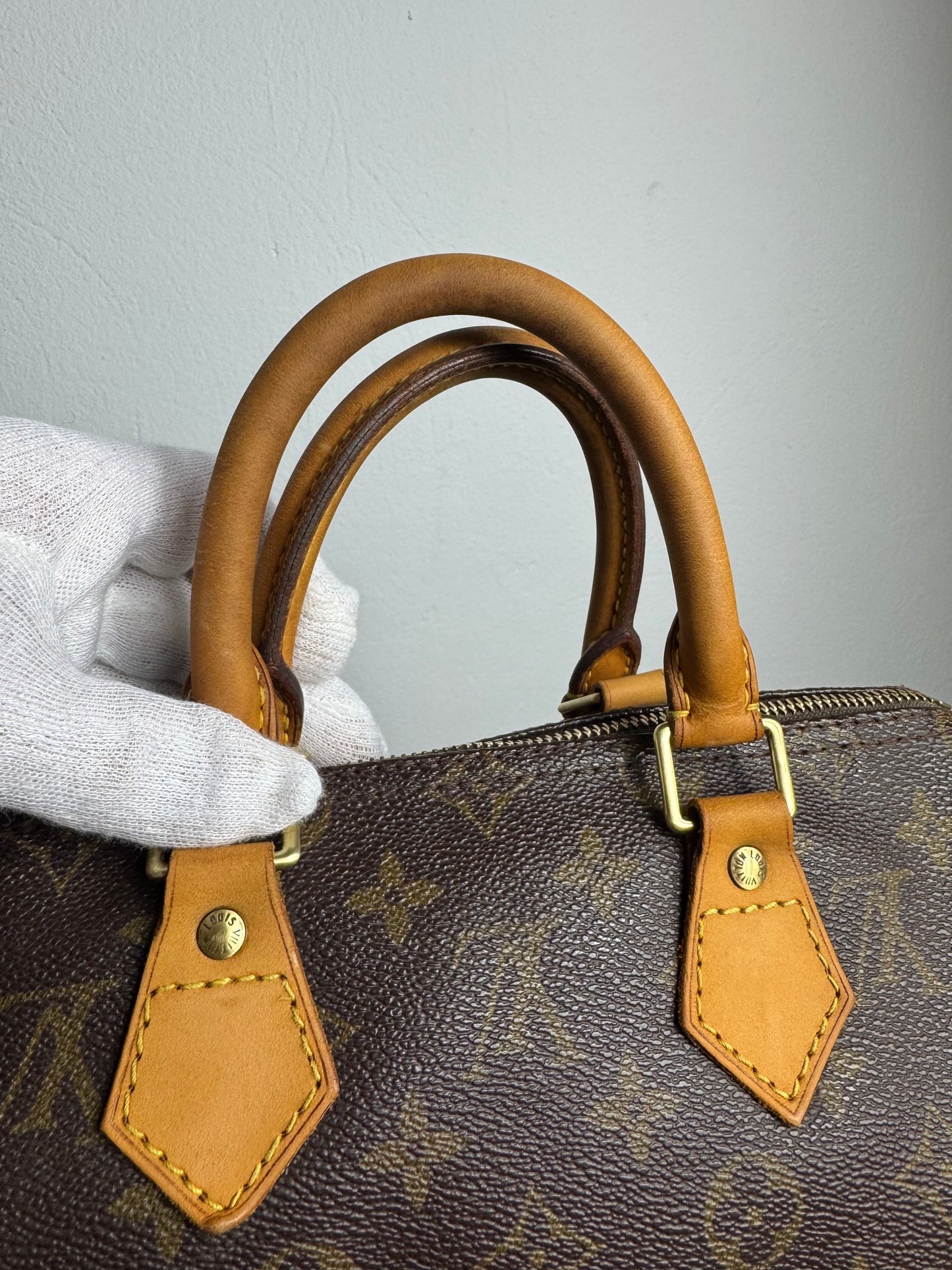 Louis Vuitton Speedy 25 Monogram