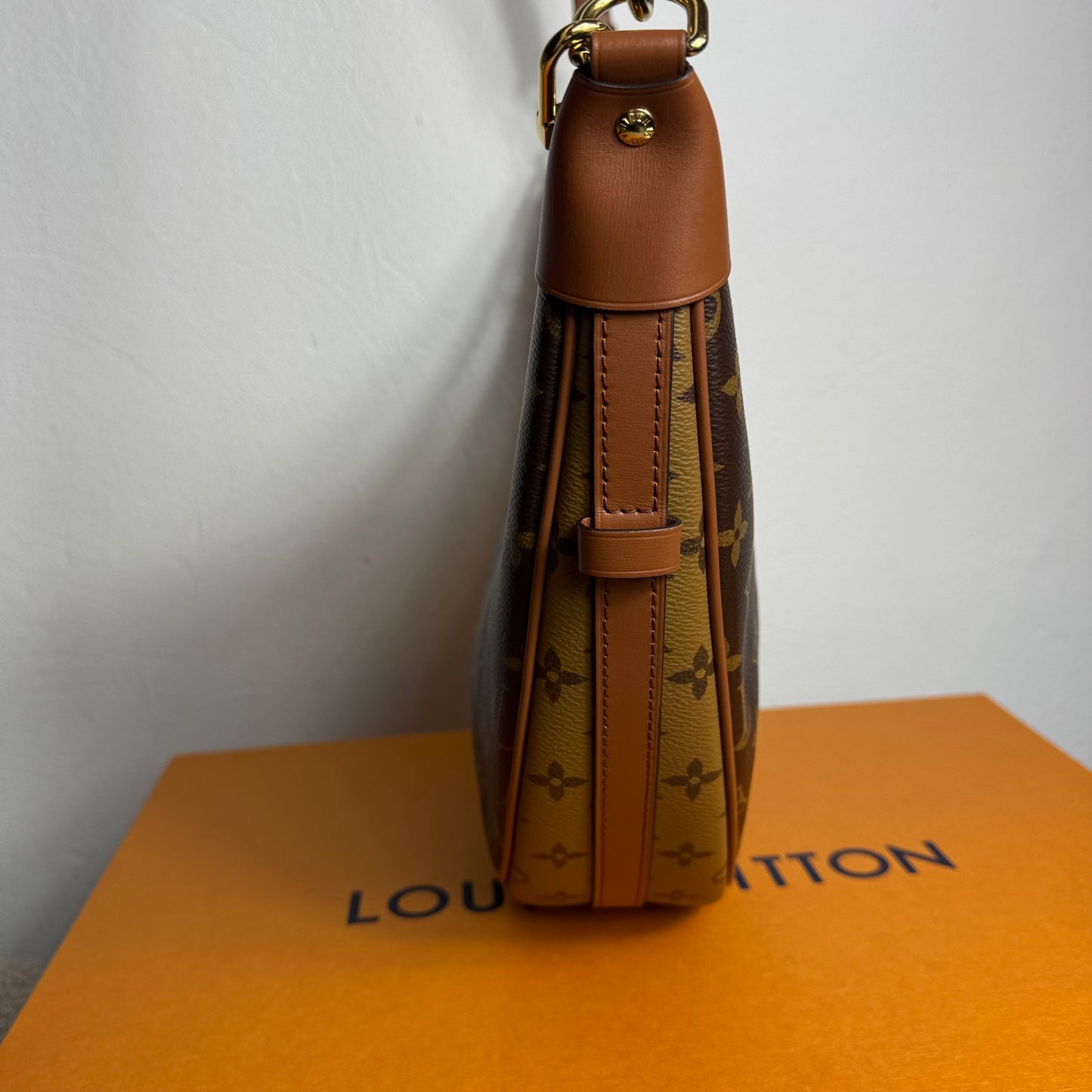 Louis Vuitton Loop Hobo Monogram